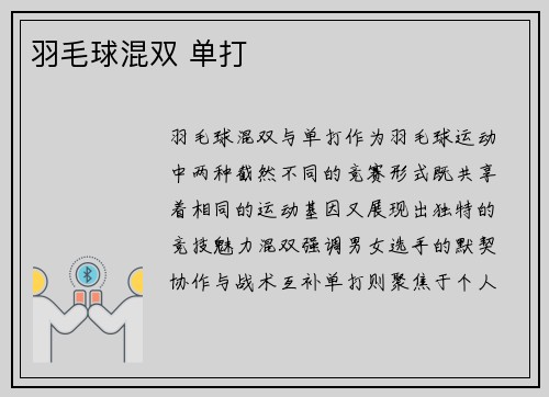 羽毛球混双 单打